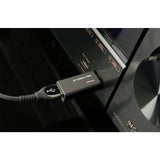 AudioQuest JitterBug FMJ USB 2.0 Power & Noise-Filter - Pair