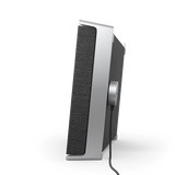 Bang & Olufsen Beosound Level Portable WiFi Speaker