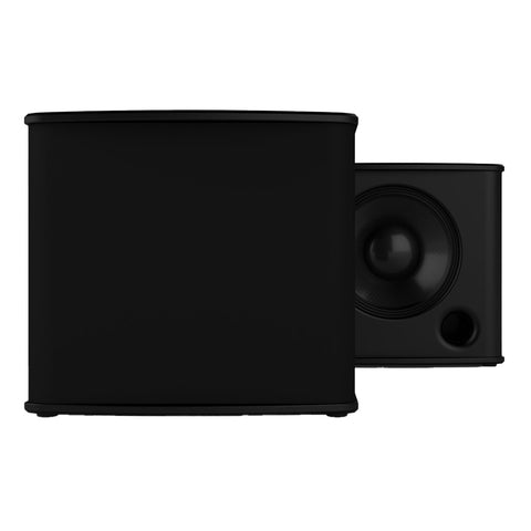 Theory Audio Design sub12 12" High Output Passive Subwoofer