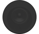 Sony SA-RS9 BRAVIA Theater Rear 9 Surround Speakers - Pair (Black)