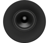 Sony SA-RS9 BRAVIA Theater Rear 9 Surround Speakers - Pair (Black)