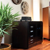 Salamander Chameleon Oslo 323 Twin AV Cabinet (Black Oak with Smoked Glass & Black Glass Top)