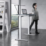 BDI Centro 6451-2 Height Adjustable Standing Desk (60"x24")