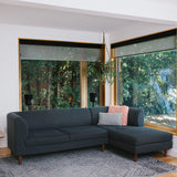 Bluesound PULSE M Wireless Music Streaming Wireless Speaker