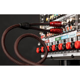 AudioQuest Golden Gate RCA Male to RCA Male Cable - 9.84 ft. (3m)