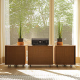 Denon PMA-3000NE Reference 2-Channel Integrated Amplifier (Black)