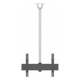 Kanto CM600 TV Ceiling Mount (White)