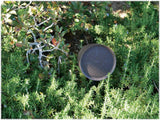 Sonance Landscape Series LS6T SAT 2-Way Outdoor Speaker - Dark Brown (Each)