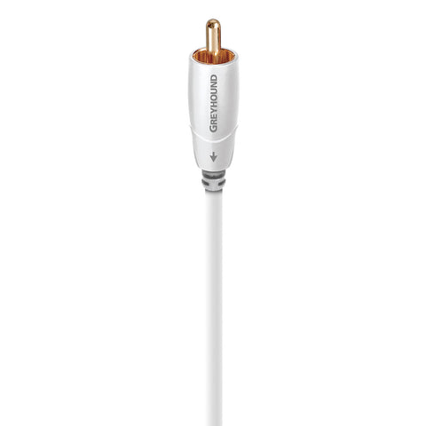 AudioQuest Greyhound RCA Low-Frequency Subwoofer Audio Cable (9.84 ft.)