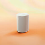 Sonos Era 100 Voice-Controlled Wireless Smart Speaker (White)