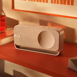 Bose SoundLink Home Bluetooth Speaker (Light Silver)