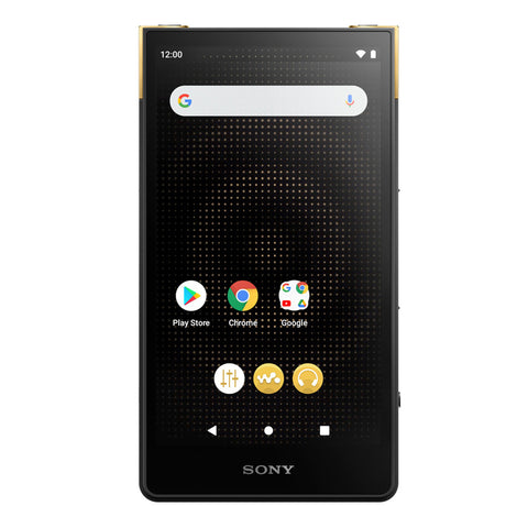 Sony NW-ZX707 Walkman ZX Series Hi-Res Digital Music Player