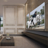 Stewart Balón Edge Fixed Frame 135" HDTV Projector Screen with Ambient Light Rejection (FireHawk G5)