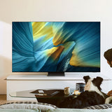 Samsung S95F 55 Inch 4K OLED Smart TV with AudioQuest SKY 3m HDMI Cable