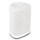 Bluesound PULSE FLEX All In One Wireless Streaming Speaker (White/Pebble Grey)