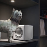 Cambridge Audio Minx X201 200 Watt Powered Subwoofer