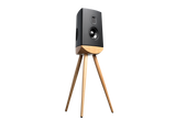 Lyngdorf Cue-100 High-End Stand-Mount Loudspeaker (Each)