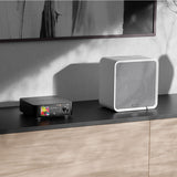 Eversolo SE100 2-Way Passive Bookshelf Speakers (Pair)