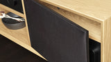 Lyngdorf CS-1 Compact Full-Range Loudspeaker - Matte Black (Each)