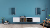 Lyngdorf FR-1 Full Range Loudspeaker (Each)