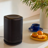 JBL Cove P1 Portable Wi-Fi Home Speaker (Each)