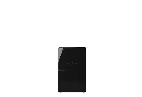 Steinway Lyngdorf LSR-210 Boundary Woofer (High Gloss Black)