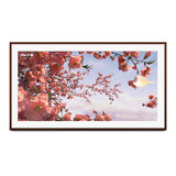 Leon Solé TV Frame for Sony BRAVIA 7
