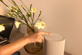 Denon Home 200 Wireless Smart Speaker