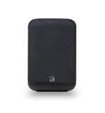 Bluesound PULSE FLEX P130 Wireless All-In-One Music Streaming Speaker
