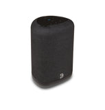 Bluesound PULSE FLEX P130 Wireless All-In-One Music Streaming Speaker