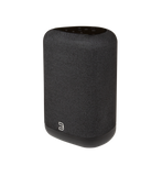 Bluesound PULSE FLEX P130 Wireless All-In-One Music Streaming Speaker