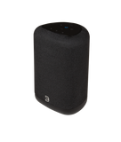 Bluesound PULSE FLEX P130 Wireless All-In-One Music Streaming Speaker