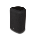 Bluesound PULSE FLEX P130 Wireless All-In-One Music Streaming Speaker