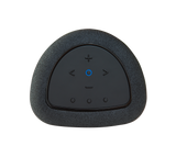 Bluesound PULSE FLEX P130 Wireless All-In-One Music Streaming Speaker