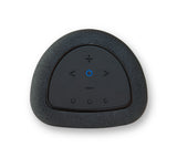 Bluesound PULSE FLEX P130 Wireless All-In-One Music Streaming Speaker