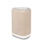 Bluesound PULSE FLEX P130 Wireless All-In-One Music Streaming Speaker