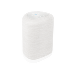Bluesound PULSE FLEX P130 Wireless All-In-One Music Streaming Speaker