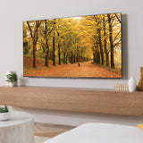 Sanus VXL7-B2 XL Premium Fixed Position TV Wall Mount for 65" - 140" TVs