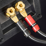 AudioQuest SureGrip 300 Gold Multi-Spade Speaker Connectors - 4-Pack
