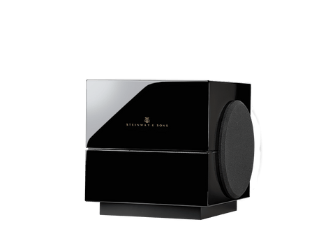 Steinway Lyngdorf Model S-210 Boundary Woofer