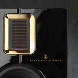 Steinway Lyngdorf Model S-15 Wall-Mounted Speaker Speaker