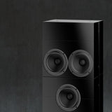 Steinway Lyngdorf IW-66 Speaker (Matte Black)