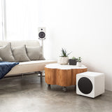 Kanto SUB8 8" Powered Subwoofer Bundle with AudioQuest Jack Russell Subwoofer Cable - 4m (White)