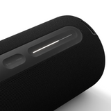 Loewe We. Hear Pro Bluetooth Speaker