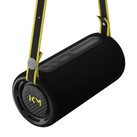 Loewe We. Hear Pro Bluetooth Speaker