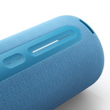 Loewe We. Hear Pro Bluetooth Speaker