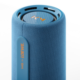 Loewe We. Hear Pro Bluetooth Speaker
