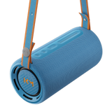 Loewe We. Hear Pro Bluetooth Speaker