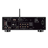 Yamaha R-N800A Network Receiver Bundle with AudioQuest Jack Russell (Black)
