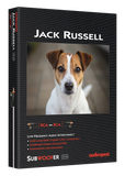 AudioQuest Jack Russell RCA Subwoofer Audio Interconnect - Single 13.12 ft. (4m)